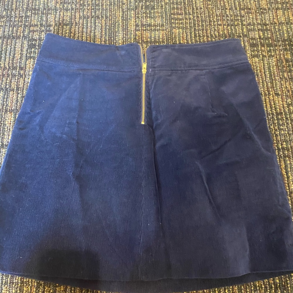 Jcrew skirt